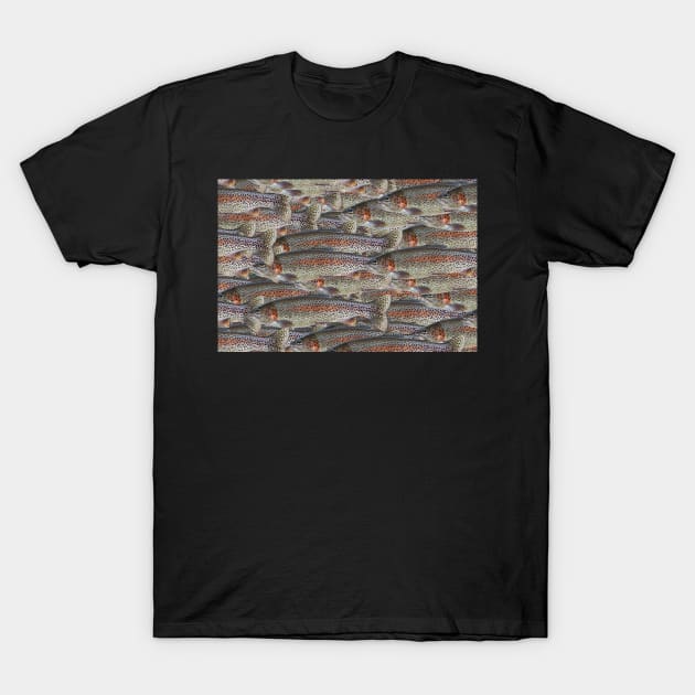 Rainbow Trout T-Shirt by MagpieSprings